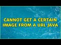 Cannot get a certain Image from a URL Java (2 Solutions!!)
