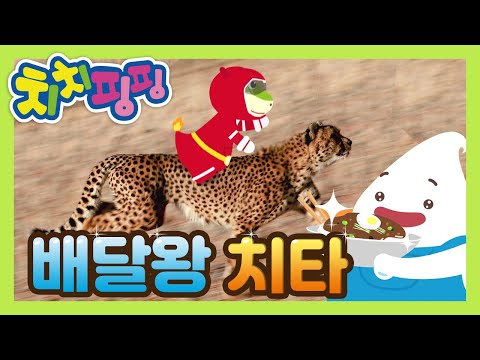 배달왕