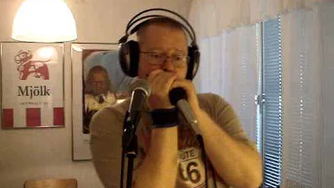 Fannie Mae - Blues Harmonica