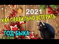 Год Быка: как правильно встретить Новый 2021 год?