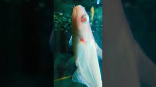 #natur # Beautiful fishing