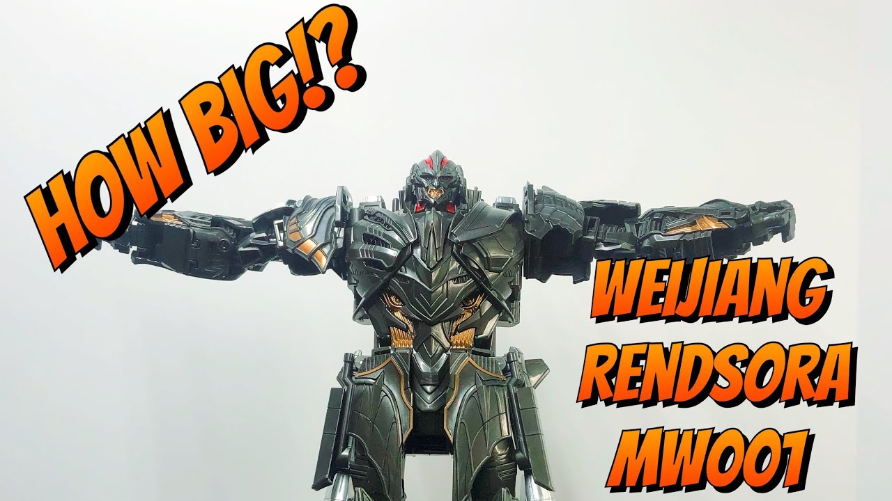Rendsora Weijiang rendsora | size comparison. - YouTube