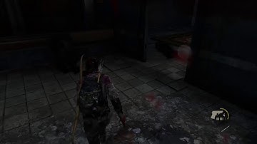 The Last of Us Left Behind Easy Glitchless Speedruns