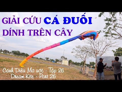 Video Giải cứu CÁ ĐUỐI bị dính trên cây - Thả Diều Cá Đuối -... - youtube