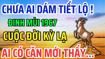 Tuổi Đinh Mùi 1967 Là con Trời Phật, Có Phước đức Hậu Vận Rất Sướng Nhìn 9 Điểm Này Là Biết!