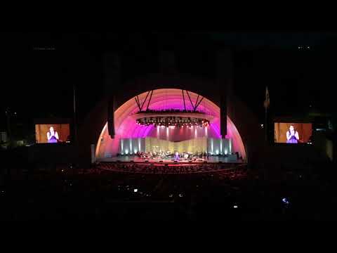 Pink Martini |