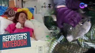 Paano maiiwasan ang insidente ng food poisoning at food contamination? | Reporter's Notebook