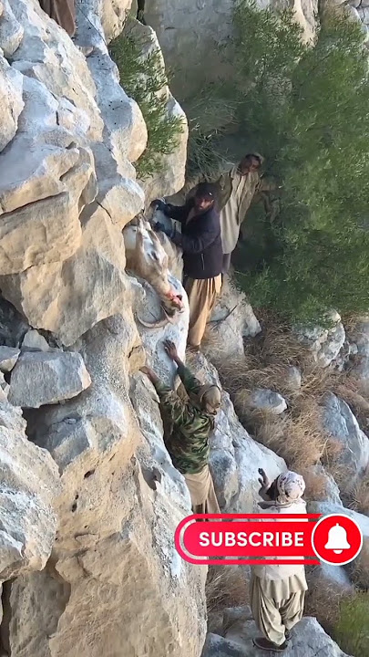 Markhor Hunting in Balochistan |Shah Noorani |Wadh | Balochistan