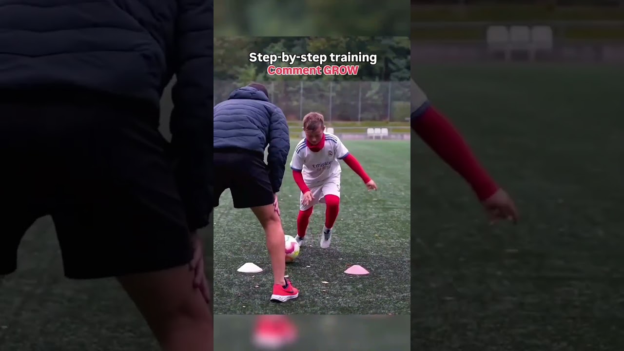 learn from basic to pro