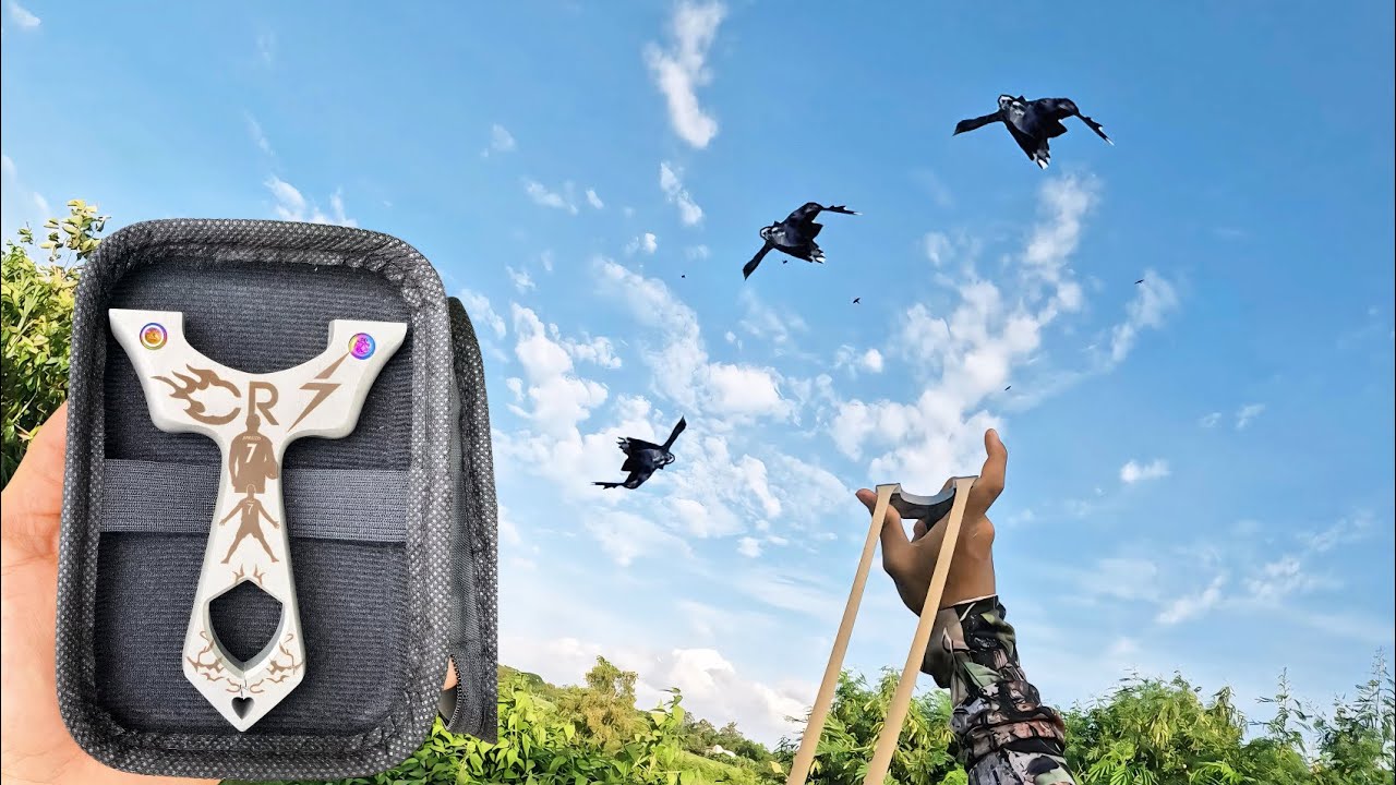 Ngẫu Hứng Buổi Chiều Kéo Nhau Đi Săn Hàng Bay Với Ná CR7 Chạc Kẹp || Tiến Đạt SlingShot 