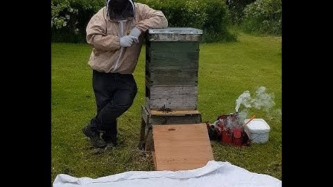 Introduction to the Taranov Method for swarm control