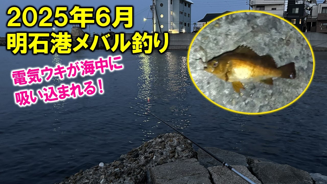 【明石　釣り】明石港夜景の綺麗なポイントでメバル釣り