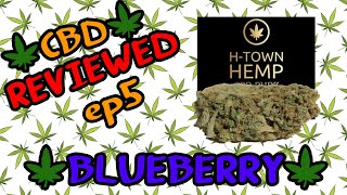 Honest Hemp Reviews EP 5 - BLUEBERRY// H-town Hemp