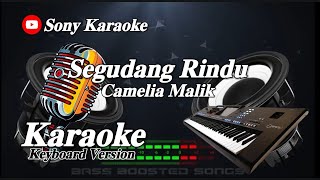 Segudang - Rindu - Camelia - Malik - Karaoke || @sonykaraokeofficial