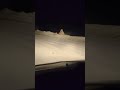 Unexpected Bear Encounter in the Wild