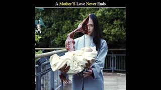 A Mother’S Love Never Ends 😭❤️‍🩹 | Parasyte Japanese Movie Explained in Hindi #youtubeshorts