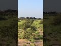 صيف الجنوب ١٤٤٤ ١٢ ٢٦
