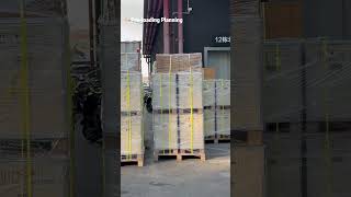 ontainer Loading &amp; Shipping | Springvive 📦🚢