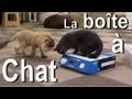 La bote  chat  parole de chat