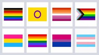 33. Pride flags Explained Degenerate fox Theatre on-line