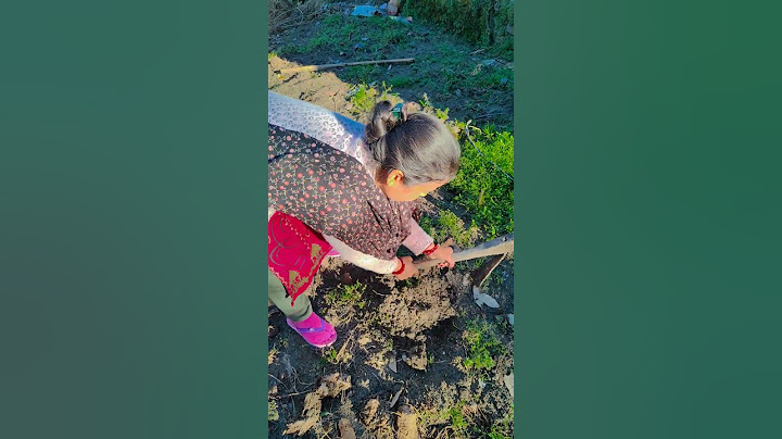 anaya time par pahunch gayi 😁🤓 #shorts #funny #trending #viralvideos