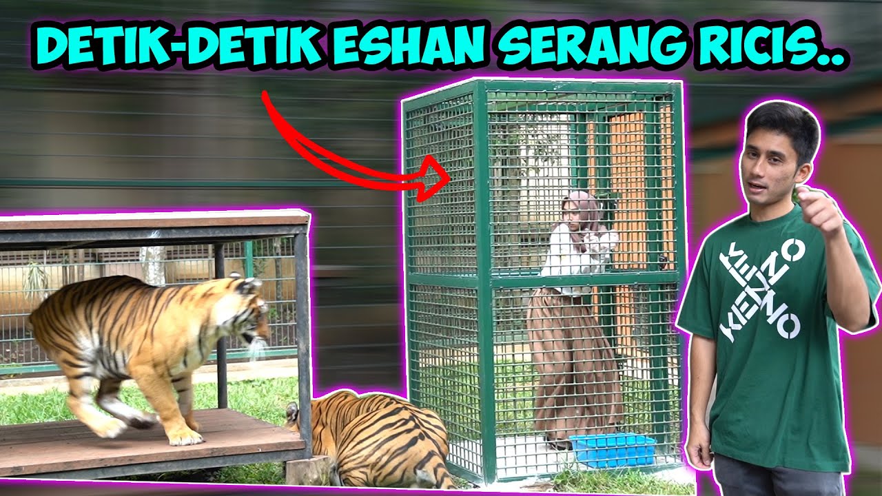 DETIK-DETIK ESHAN DILEPAS DARI KANDANG!! Ricis Diserbu.. || 