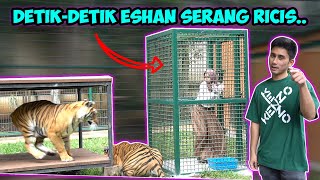 Download Lagu DETIK-DETIK ESHAN DILEPAS DARI KANDANG!! Ricis Diserbu.. || @AlshadAhmad MP3