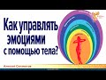 Как управлять эмоциями с помощью тела? Алексей Саламатов