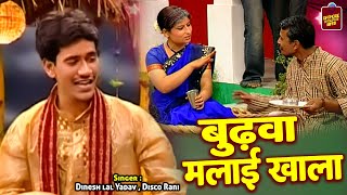 Dinesh Lal Yadav का सुपरहिट भोजपुरी सांग - बुढ़वा मलाई खाला - Budhwa Malai Khala - Bhojpuri Song 2022