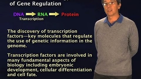 Introduction to gene regulation - Robert Tjian (Berkeley/HHMI)