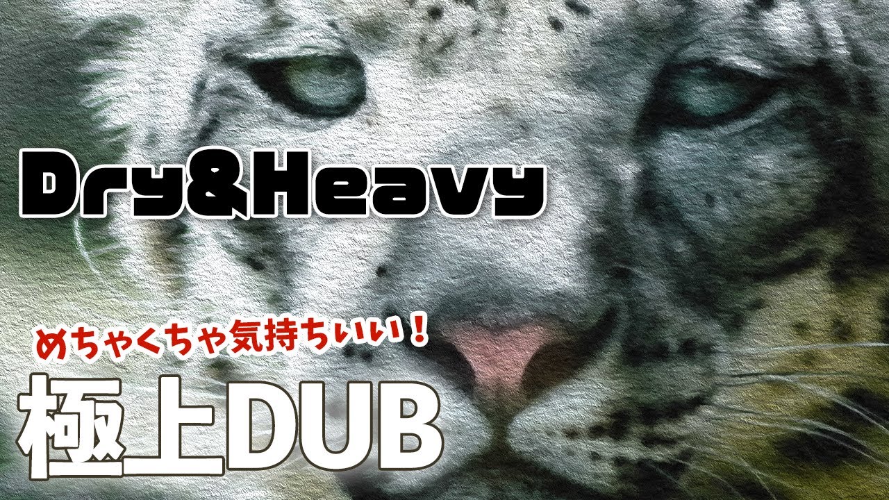 Dry & Heavy（ドラヘビ）】めちゃくちゃ気持ちいい極上DUB!! - YouTube