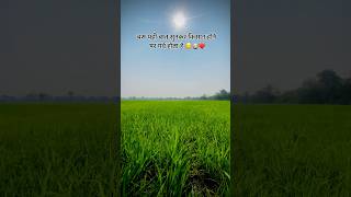 #farming #sun #premanandjimaharaj #villagelife #desi #farmer #kisan #farmlife 😌👳🏻‍♂️