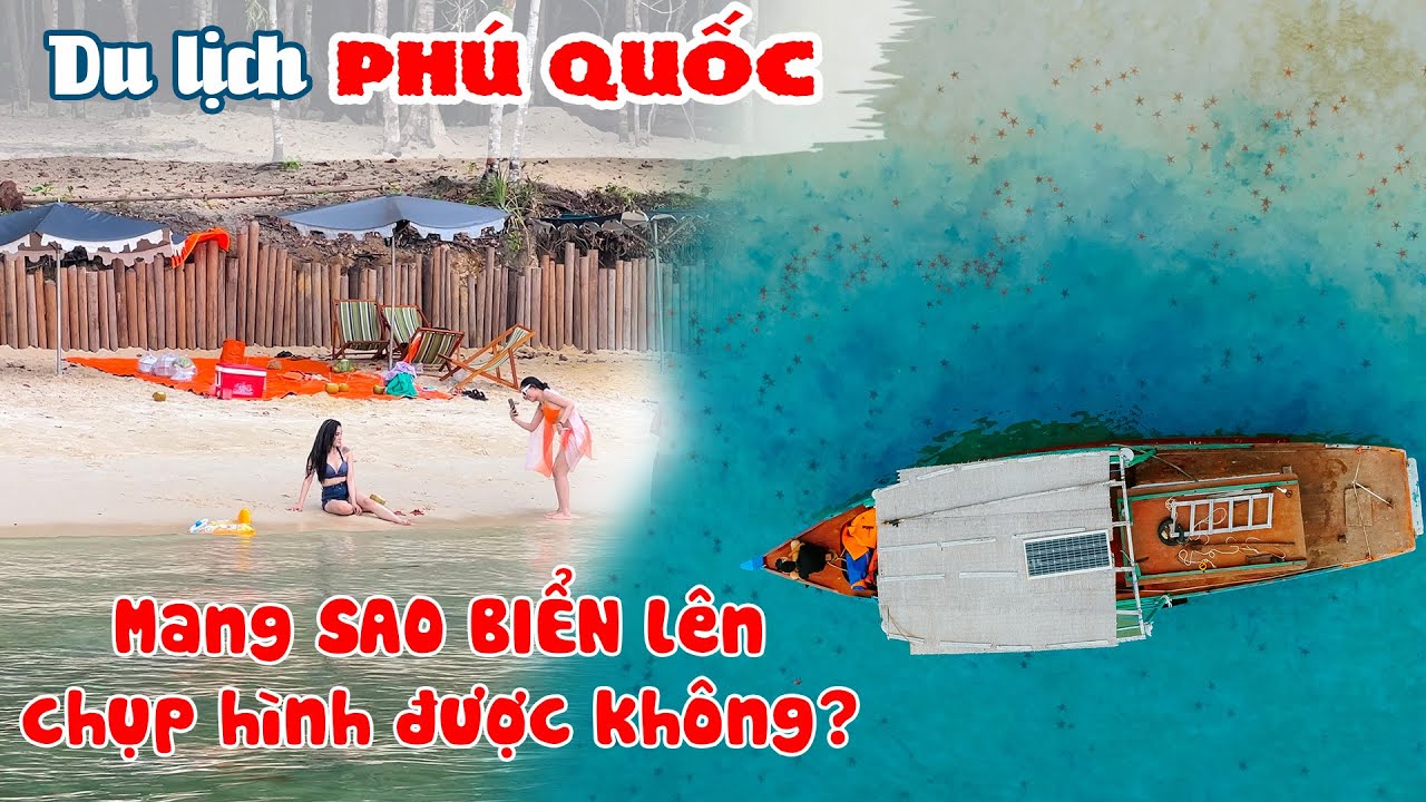 Khám phá Bí mật hàng ngàn con Sao Biển tuyệt đẹp tại... - youtube