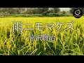 雨ニモマケズ - 実写版 -
