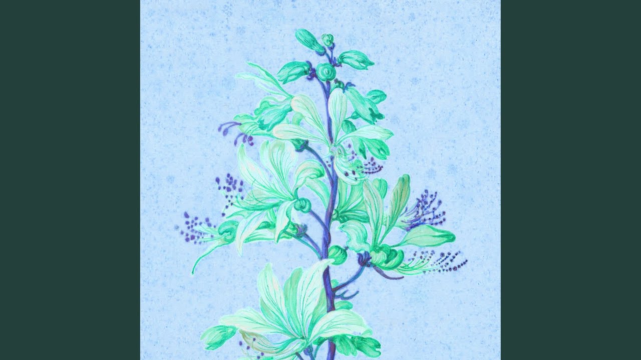 Relaxing Yoga Flow Music