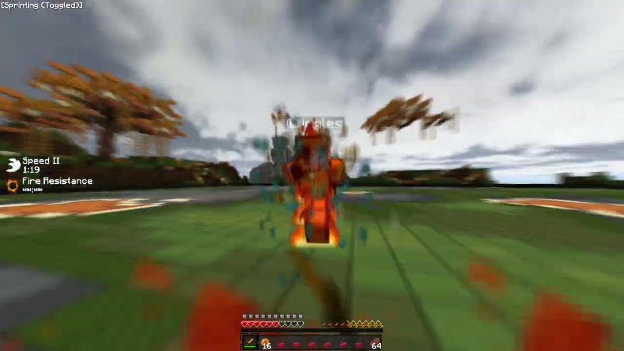 playing against cheaters and random players.