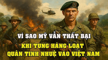 Sự Thật Bị Che Giấu: Mỹ Đã Tung Những Chiến Binh Tinh Anh Nào Vào Việt Nam – Và Vì Sao Họ Thất Bại?