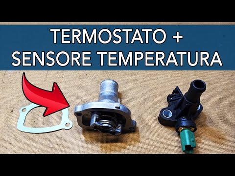 TERMOSTATO e SENSORE TEMPERATURA FIAT - Sostituzione Guida Completa