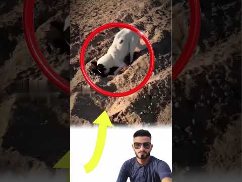 دموع صامتة الأم الحزينة تمنح صغيرها راحة أبدية ودفن ا لائق ا لايك متابعه ترند 