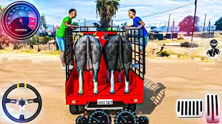 Us Animal Transport Truck Game - Farm Cow Transport Truck 3D - Android GamePlay screenshot 5
