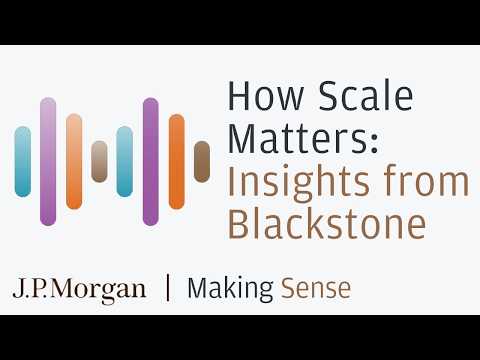 Inside Blackstone’s hedge fund investing platform