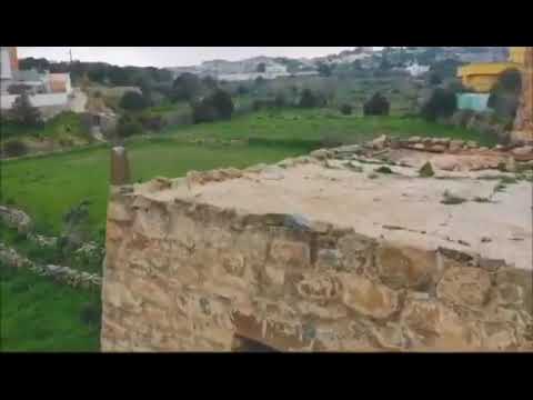 في جنوب المملكه كل القبايل