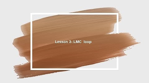 LMC lesson 3 loop