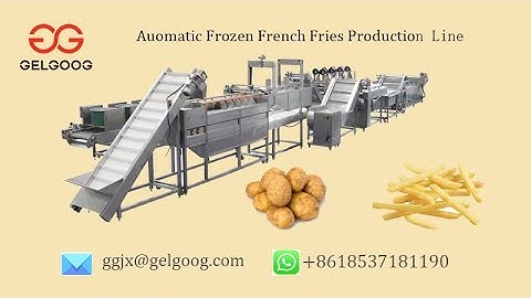 GELGOOG® Automatic Frozen French Fries Production Line Frozen Potato Making Machine 3D Video