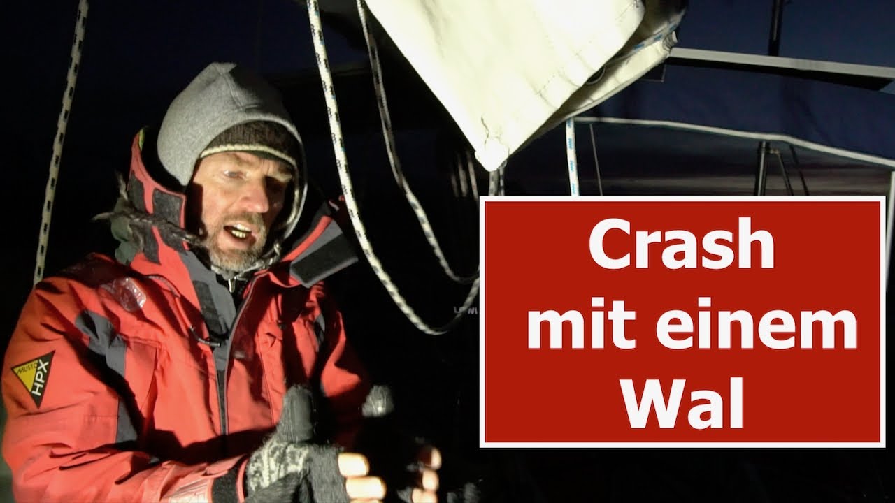 Crash mit einem Wal beim Segeln - Ruderschaden was nun? #76 @XTripSailing 2021