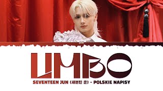 [POLSKIE NAPISY] SEVENTEEN JUN (세븐틴 준) - LIMBO by jeonka 109 views 2 months ago 3 minutes, 13 seconds