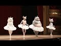 Secret Swan Lake Rehearsals Ballerina Cats Something Went Wrong Edition Secret Swan Lake Rehearsals Ballerina Cats Something Went Wrong Edition