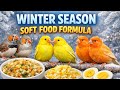 Best Soft Food for Finches | Fast Breeding & Healthy Chicks 🐤 How To Make Soft Food Finches Paradise