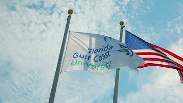 FGCU - Turning Ideas into Impact #2