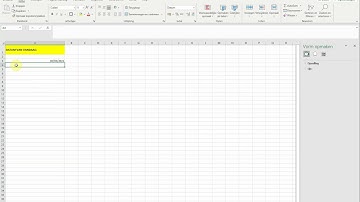 Datum van vandaag in Excel